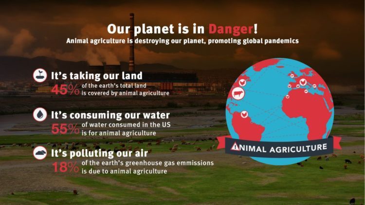 The effects of animal agriculture on the environment Source: SuperMeat PR