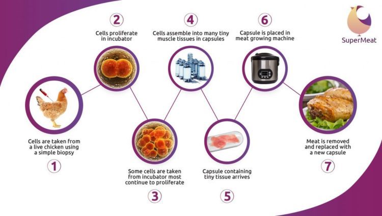 Which came first? The process of making cultured chicken Source: SuperMeat PR