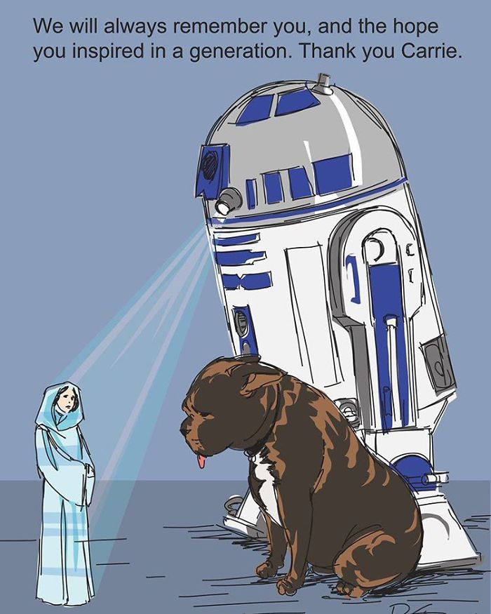 Carrie Fisher ilustraciones Princesa Leia 12