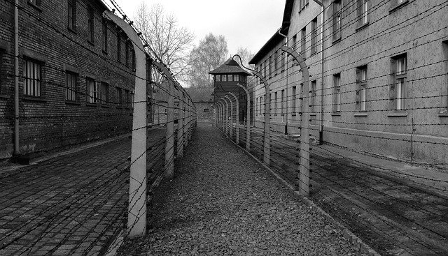 Olvidar Auschwitz