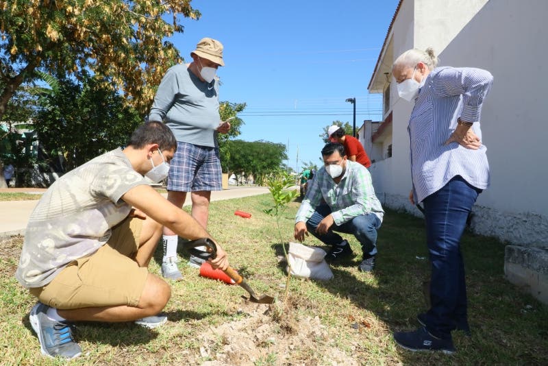 La Comunidad Judía de Mérida plantó árboles frutales por motivo de Tu Bishvat