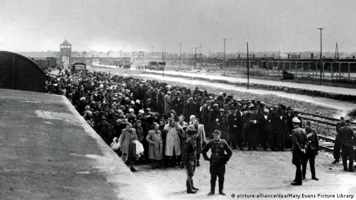 Judíos de Hungría en el campo de concentración de Auschwitz