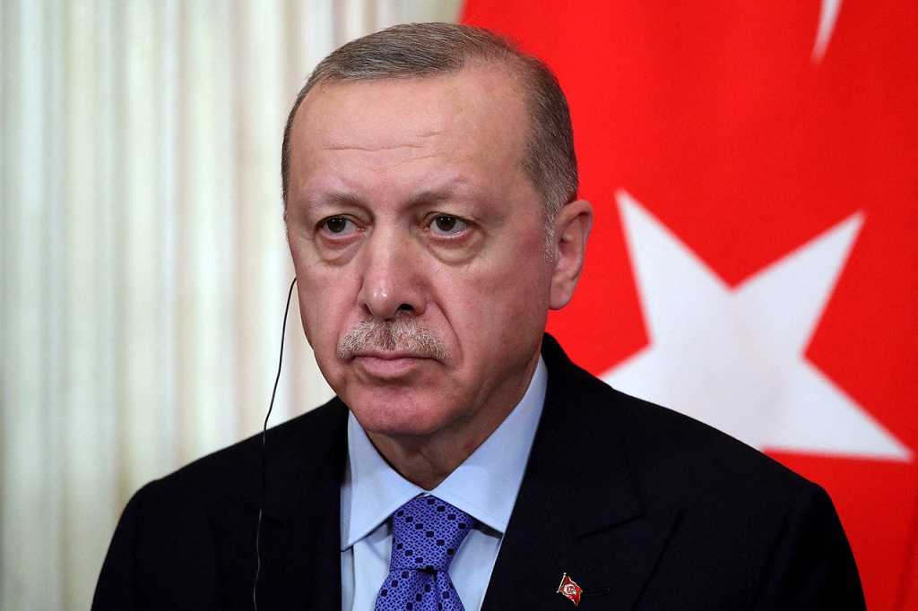 Erdogan espera que suspensión del comercio con Israel sirva de ejemplo para otros países