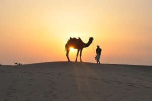Free photo: desert, sunset, camel, sand, silhouette, sand Dune, nature | Hippopx