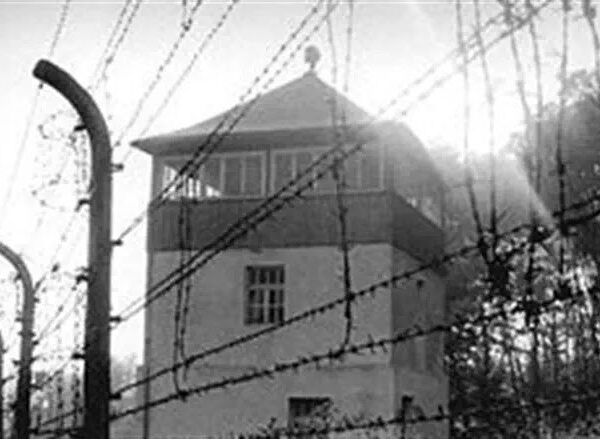 Negación del Holocausto: un intento continuo de distorsionar la historia. Contrariamente a las afirmaciones de los negacionistas, la inteligencia aliada sabía sobre el asesinato en masa ya en el verano de 1941.